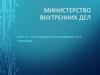 Министерство внутренних дел. Отчет за 1-ое полугодие и планирование 2-ого полугодия