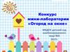 Конкурс мини-лаборатории «Огород на окне»