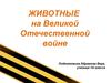Животные на Великой Отечественной войне