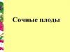 Сочные плоды