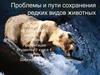 Проблемы и пути сохранения редких видов животных