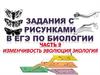 Изменчивость. Эволюция. Экология (задания ЕГЭ)
