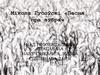 Мікола Гусоўскі «Песня пра зубра»