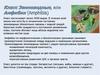 Класс Земноводные, или Амфибии (Amphibia)