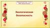 Экологическая безопасность