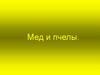 Мед и пчелы