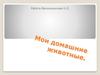 Мои домашние животные