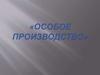 Особое производство