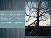 Белоствольная береза - символ малой родины