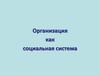 Организация как социальная система
