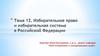 Избирательное право и избирательная система в Российской Федерации