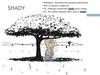 Shady