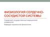Компоненты сердечно-сосудистой системы и их функции