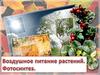 Воздушное питание растений. Фотосинтез