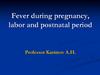Fever during pregnancy, labor and postnatal period