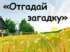 Отгадай загадку