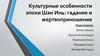 Культурные особенности эпохи Шан Инь. Гадание и жертвоприношение