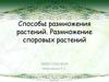 Способы размножения растений. Размножение споровых растений