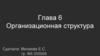 Организационная структура
