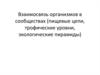 Взаимосвязь организмов в сообществах (пищевые цепи, трофические уровни, экологические пирамиды)