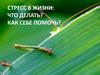 Стресс в жизни: Что делать. Как себе помочь