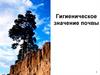 Гигиеническое значение почвы