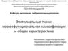 Эпителиальные ткани: морфофункциональная классификация и общая характеристика