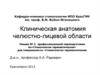Клиническая анатомия челюстно-лицевой области