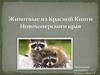 Животные из Красной Книги Новохоперского края