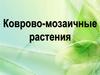 Коврово-мозаичные растения