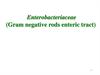 Enterobacteriaceae (Gram negative rods enteric tract)