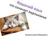 Кошачий язык. Что означает мурлыканье