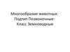 Подтип позвоночные, класс земноводные