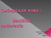 Сибирская язва Bacillus anthracis