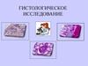 Гистологическое исследование