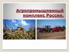 Агропромышленный комплекс России
