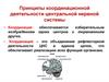 Принципы координационной деятельности центральной нервной системы