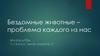 Бездомные животные – проблема каждого из нас