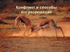 Конфликт и способы его разрешения
