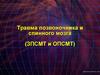 Травма позвоночника и спинного мозга (ЗПСМТ и ОПСМТ)