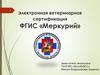 Электронная ветеринарная сертификация ФГИС «Меркурий»