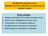 Биофизика органа слуха. Биофизическое действие ультразвука на живые ткани