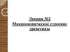 Микроскопическое строение древесины