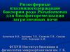 Ризосферные плазмидосодержащие бактерии рода Pseudomonas для био/фиторемедиации загрязненных почв