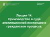 Производство в суде апелляционной инстанции в гражданском процессе