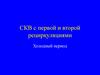 СКВ с первой и второй рециркуляциями