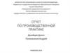 Отчет по производственной практике