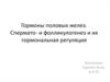 Гормоны половых желез. Спермато- и фолликулогенез и их гормональная регуляция
