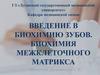 Биохимия зубов. Биохимия межклеточного матрикса