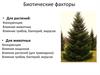 Биотические факторы